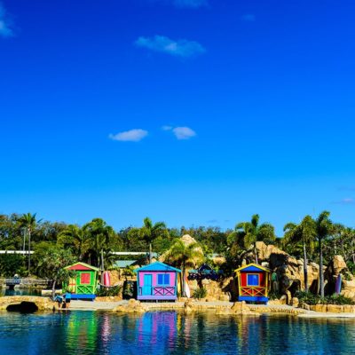 Sea World Gold Coast