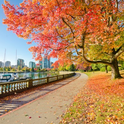 Stanley Park
