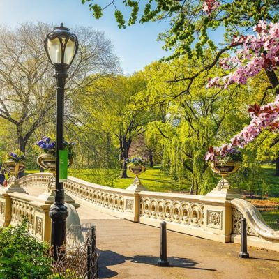 Central Park