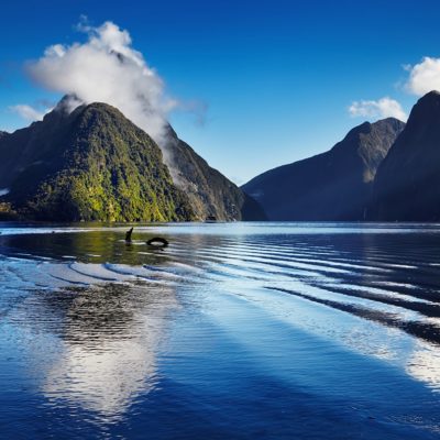 Milford Sound