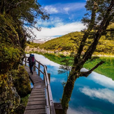 Routeburn Track
