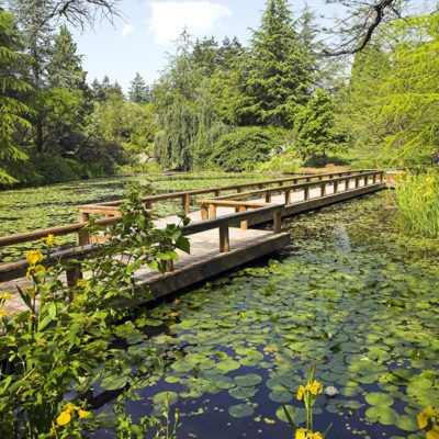 Vandusen Botanical Garden